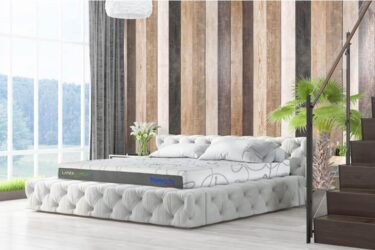 Đánh giá nệm cao su Dunlopillo có tốt không? Có nên mua nệm không? 1 Dem cao su Latex world