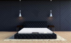 nệm cao su gummi và thắng lợi