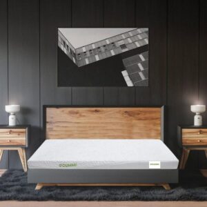 nệm cao su gummi và cao su kim cương