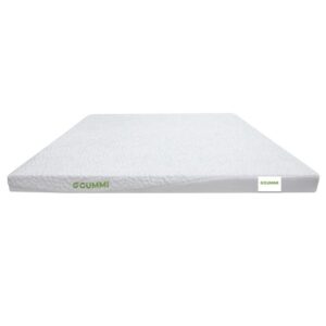 nệm cao su gummi và đồng phú