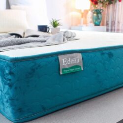 nệm lò xo edena và lò xo hanvico
