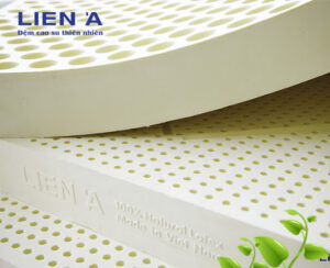 nệm cao su liên á và amando