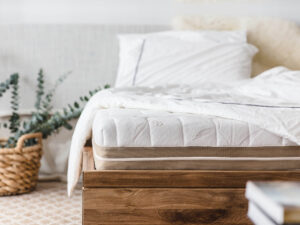 nệm cao su hanvico và amando