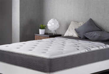 nệm lò xo dunlopillo và vina mattress