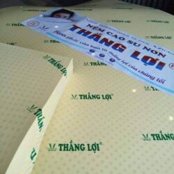 nệm cao su thắng lợi và liên á