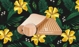 nệm cao su thuần việt và liên á
