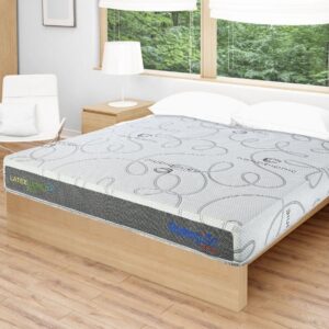 nệm cao su dunlopillo và gummi