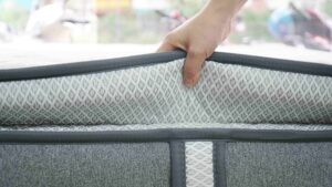 nệm lò xo amando và dunlopillo