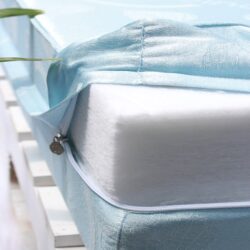So sánh nệm bông ép Edena vs bông ép Cuscino 1 bong ep cuscino can canh