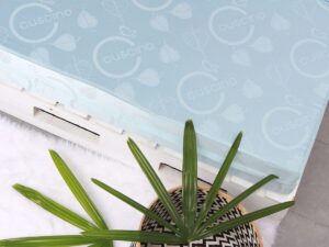 nệm bông ép Kim Cương và nệm bông ép Cuscino