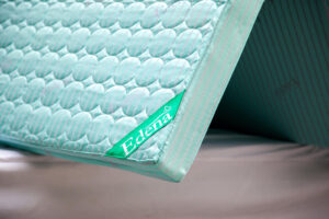 nệm bông ép Edena vs bông ép Vạn Thành