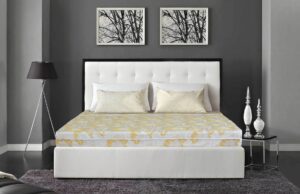 nệm bông ép đồng phú và everon