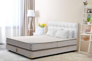 Đệm bông ép Edena và Đệm bông ép Hanvico