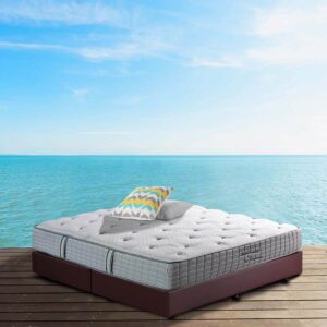 nệm bông ép sông hồng và edena