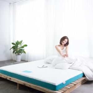 nệm foam amando và inoac