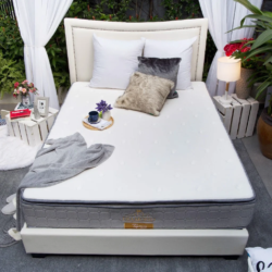 So sánh chi tiết 2 thương hiệu: nệm lò xo Edena và nệm lò xo Amando 1 Các sản phẩm của Edena