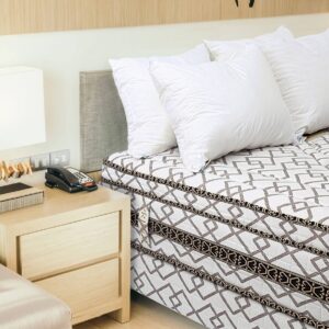 nệm lò xo VinaMattress và lò xo Hanvico