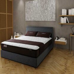 Nệm lò xo Liên Á và Edena nên chọn loại nào 1 lo xo lien a nem lo xo cocoon firm 0r5H1W