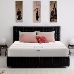 So sánh ưu nhược điểm của nệm lò xo King Koil và Lotus 1 nệm lò xo king koil và lotus