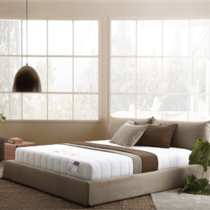 nệm lò xo Tatana và Lotus