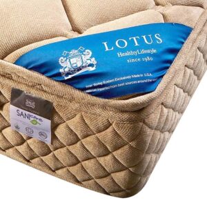 nệm lò xo VinaMattress và nệm lò xo Lotus