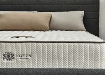 So sánh chi tiết nệm lò xo Lotus vs lò xo Amando 1 nệm lò xo lotus và amando