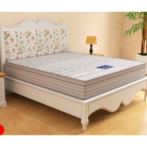 nệm lò xo edena và ưu việt