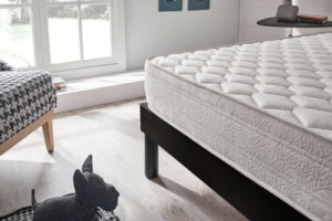 nệm lò xo Tatana và Liên Á