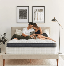 So sánh nệm lò xo Vạn Thành vs lò xo Tatana 1 nệm lò xo Vạn Thành vs lò xo Tatana
