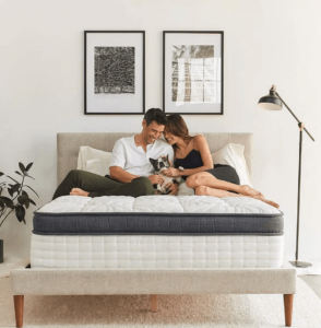 nệm lò xo Vạn Thành vs lò xo Tatana