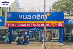 giới thiệu về vua nệm