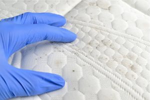 Nệm bị mốc xử lý như thế nào