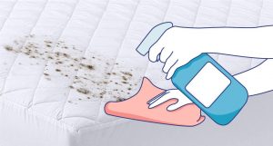 xử lý đệm lò xo nấm mốc