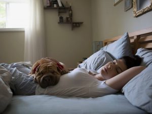 Ngủ trưa hoặc có một giấc ngủ ngắn