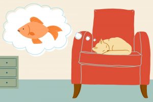 Loài mèo khi ngủ có mơ không?