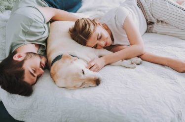 Có nên ngủ cùng vật nuôi không và cần lưu ý những điều gì? 1 ngủ cùng vật nuôi