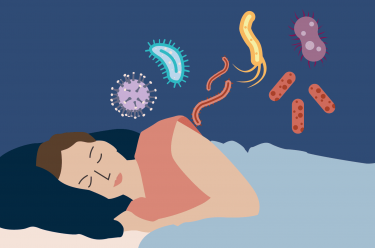 Đi tìm mối quan hệ giữa giấc ngủ và hệ miễn dịch 1 Giấc ngủ ảnh hưởng đến khả năng miễn dịch