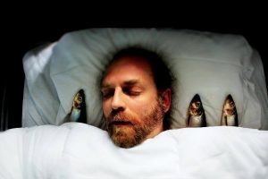 Giải mã quá trình ngủ của loài cá