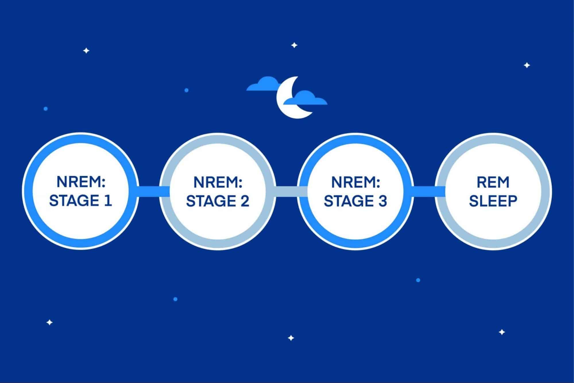 chu kỳ giấc ngủ gồm 4 giai đoạn