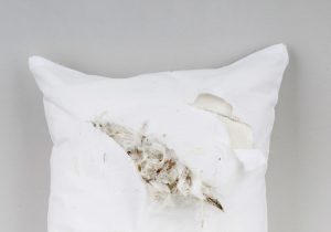 loại gối lông vũ