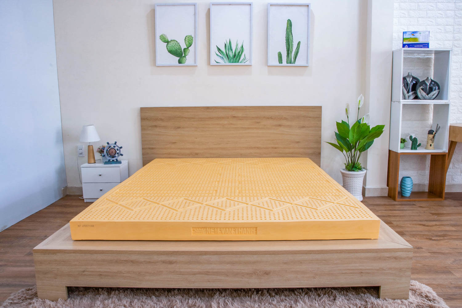 Giá nệm cao su Vạn Thành Segovia phù hợp với nhiều đối tượng khác nhau
