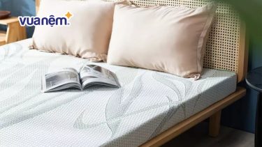 Vua Nệm có phải thương hiệu uy tín để bạn yên tâm mua đệm? Có nên mua đệm ở Vua Nệm