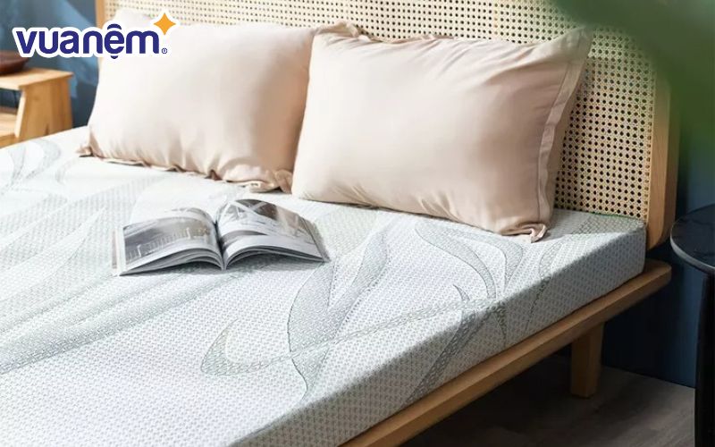 Có nên mua đệm ở Vua Nệm - Vua Nệm là lựa chọn rất đáng cân nhắc