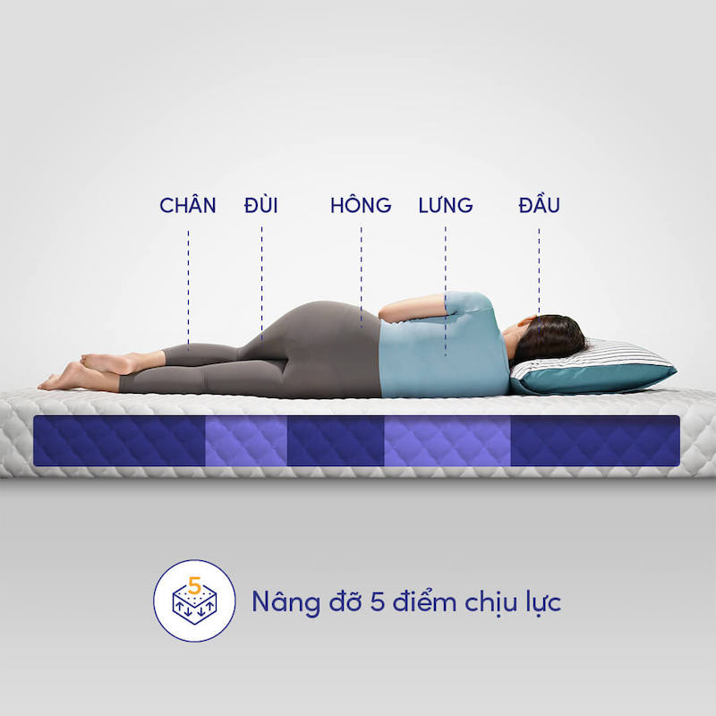 Nệm có khả năng nâng đỡ 5 điểm chịu lực của cơ thể