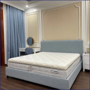 Nệm lò xo Dunlopillo Venus: Đánh giá và bảng giá mới