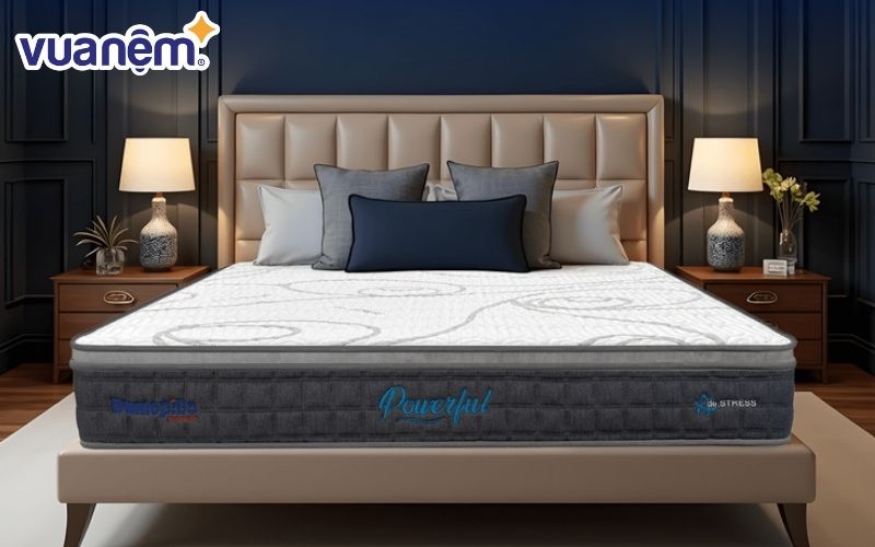 Hướng dẫn cách vệ sinh nệm lò xo Dunlopillo