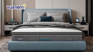 Hướng dẫn vệ sinh nệm Dunlopillo đúng cách đơn giản tại nhà