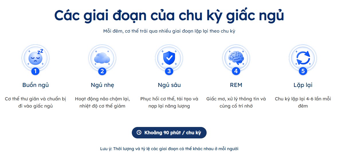 Cách sử dụng công cụ tính chu kỳ giấc ngủ Sleep.vn 1 sleep vn 4