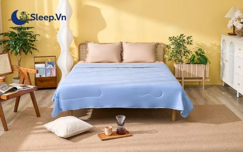Nên chọn ga giường màu gì? Gợi ý 5 mẫu chăn ga đẹp, đáng mua 8 Chăn ga băng tuyết Amando Ice Silk mỏng nhẹ