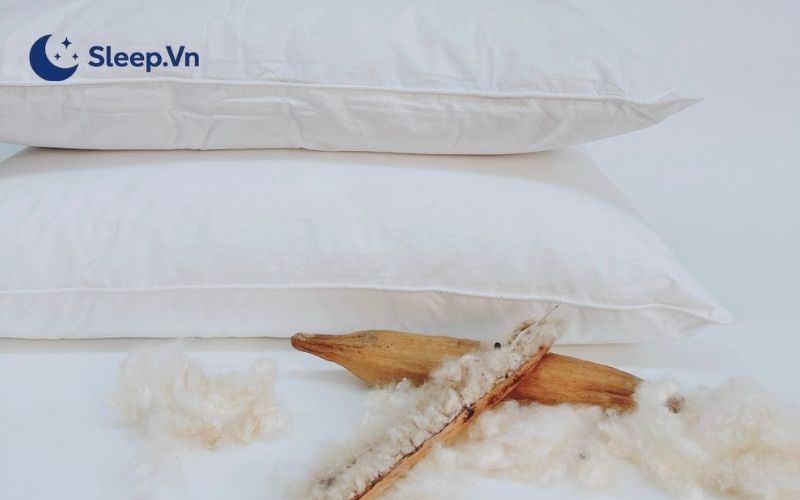 Gối bông gòn là gì? Có nên sử dụng gối bông gòn không? 4 Có nên sử dụng gối bông gòn không?